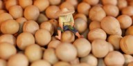 China va a comprar más soja en Argentina y Uruguay
