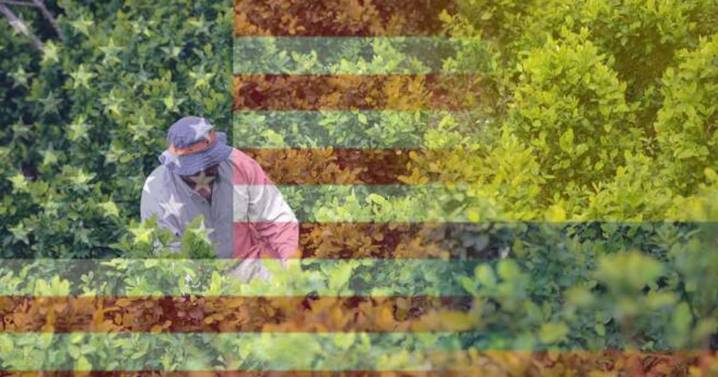 Día clave: EE.UU. decide este lunes si certifica o no a Colombia en su lucha antidrogas