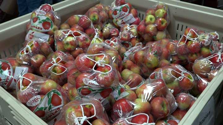 Apple picking season underway in the Twin Tiers