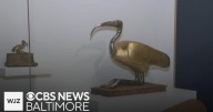 Where’s Marty: Visiting the Walters Art Museum in Baltimore