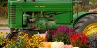 Garden Spot: Mums the word as fall nears