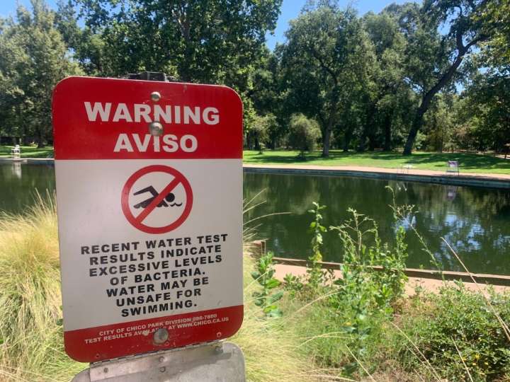 5 reasons Chico’s E. coli outbreak likely isn’t linked to homeless people