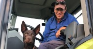 A tsunami of tributes for disability advocate Sam Bailey