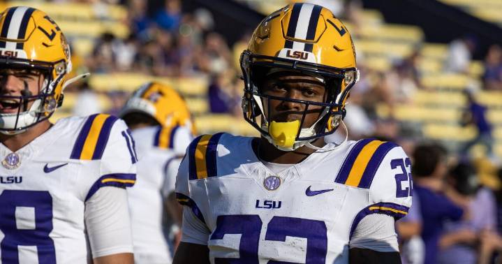 Has Harlem Berry earned a larger role in LSU's offense? Here's what Brian Kelly thinks.