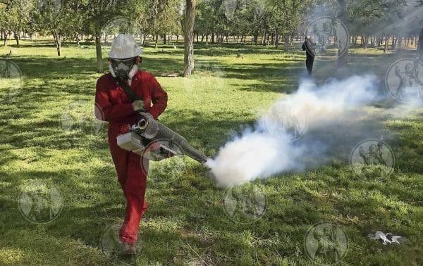 Juárez, en alerta amarilla por dengue