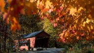 Look at fall foliage prediction map, when leaves will change in Ohio