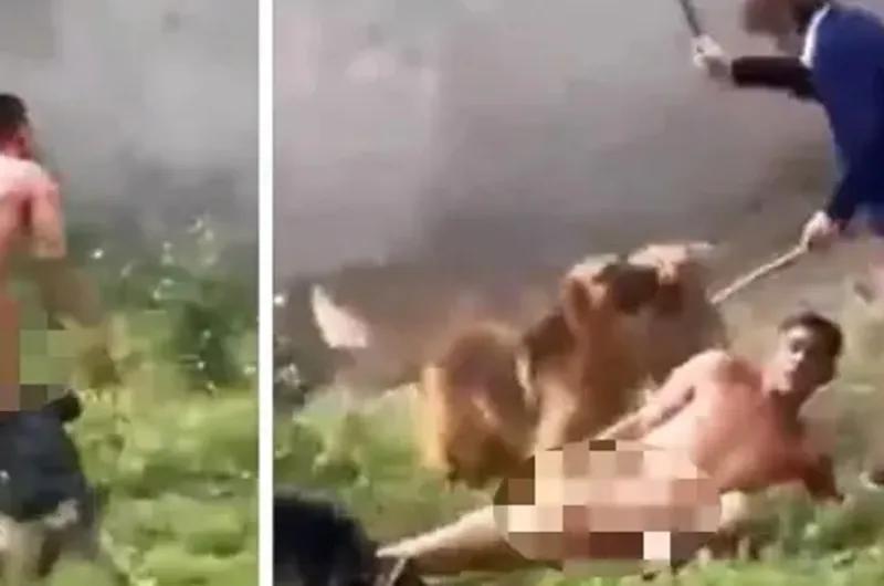 Intentó robar en una casa y fue atacado por 15 perros