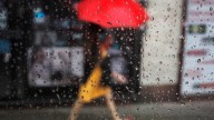 Alerta amarilla por vientos y tormentas en Buenos Aires y 14 provincias