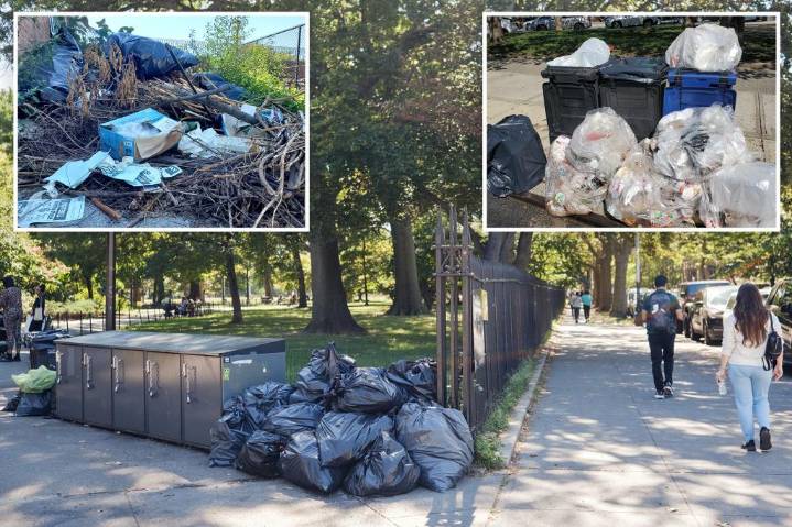 NYC park catering to hipsters and stroller moms now full of rats and syringes: 'Really upsetting'