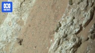 NASA Mars rover Perseverance finds best potential evidence yet of ancient life