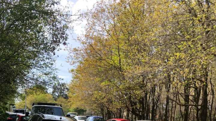 Lo estás haciendo mal: un profesor de autoescuela de Madrid revela el truco para aparcar en línea sin chocarte y sin referencias