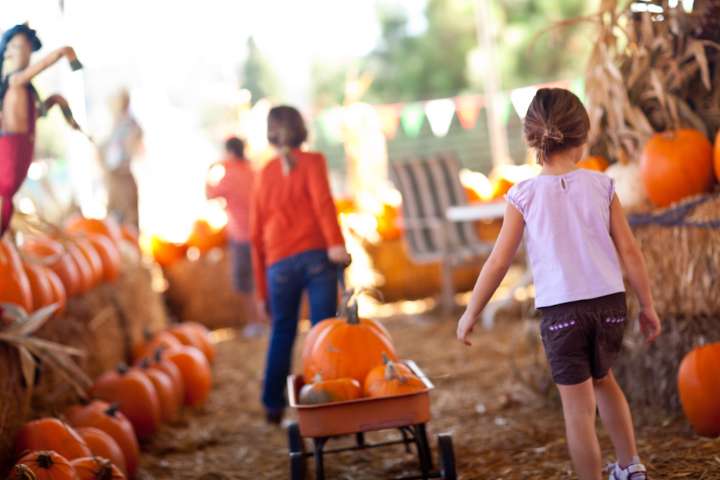 7 Ways to Celebrate Fall in the Pittsburgh Area 