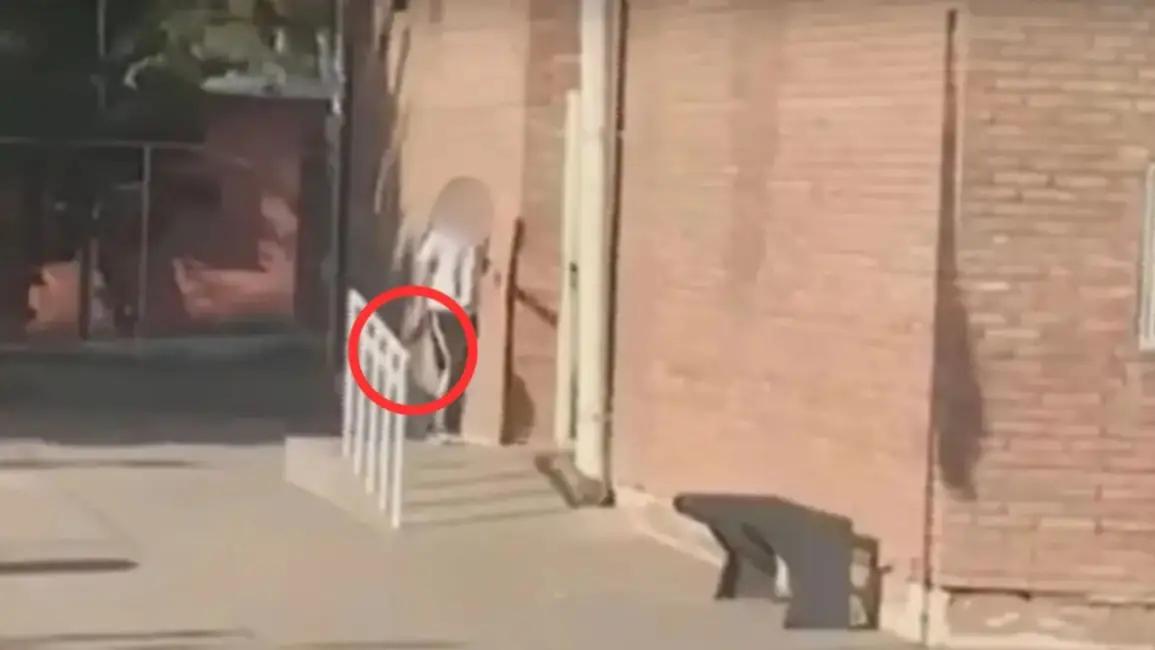 VIDEO | Mendoza: la hija de un policía de San Luis entró armada a la escuela y disparó