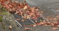 Lane County businesses urged to join stormdrain program by Oct 31