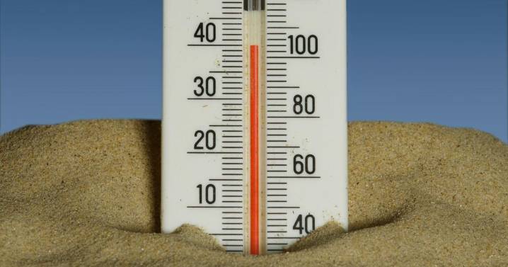 Record hot temperatures killed over 60,000 across Europe in 2024