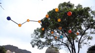 Glenda León; ¿quién es la artista cubana que llenó el cielo de Bogotá con las fórmulas químicas de la felicidad?