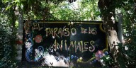 El desesperado pedido para salvar al primer santuario interespecie del país donde conviven más de 850 animales: “Temo por el futuro”