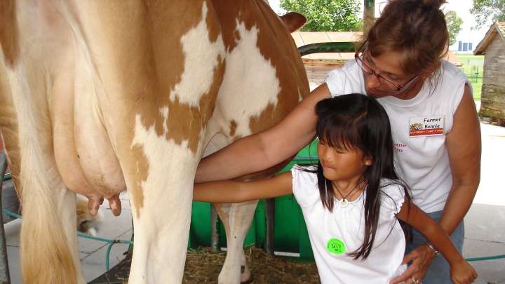 Mulberry Lane Farm in Hilbert gears up for busy harvest tourism season