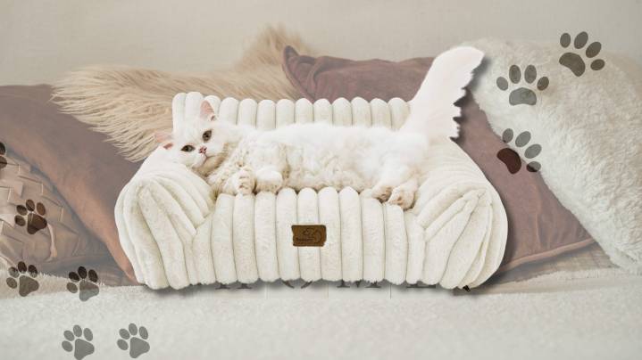 Take 20% off the cutest Bedsure cat couch with this Amazon Prime deal