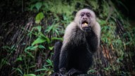 Semana de la Biodiversidad en Cali 2025, un legado de la COP16; conozca la agenda y actividades