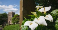 5 of the UK’s wackiest funerals including magician’s vanishing coffin
