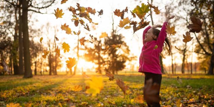 170 Best Fall Captions for Instagram for Your Cute Post