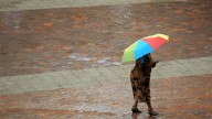 Daily thunderstorms on radar for Brevard County this week