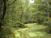 Nominate your favorite Pennsylvania path for 2026 Trail of the Year award
