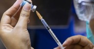 US officials commission research on vaccines and autism