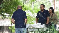 Adulto mayor es localizado sin vida debajo de un árbol a un lado del Libramiento de Tepic