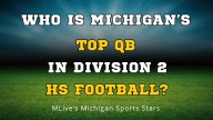 Your picks: Vote for the top quarterback in Michigan Division 3 high school football