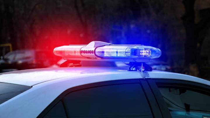 Georgia man charged in major SC dogfighting operation