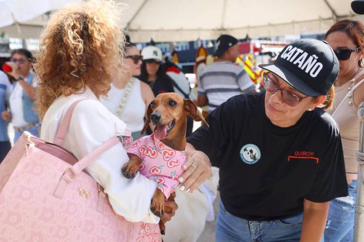 Cataño celebrará este domingo la 4ta Edición de Mascotas All Star