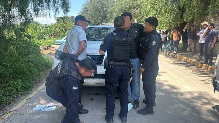 Agreden a bomberos y policías cuando retiraban un enjambre de avispas