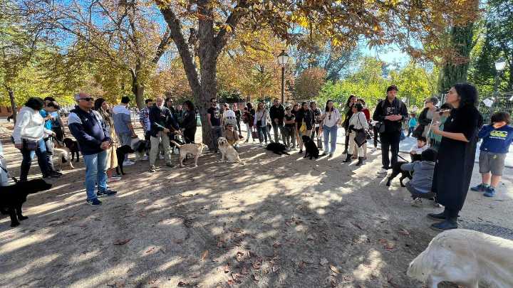 La tragedia de Wisper que activó una batalla vecinal
