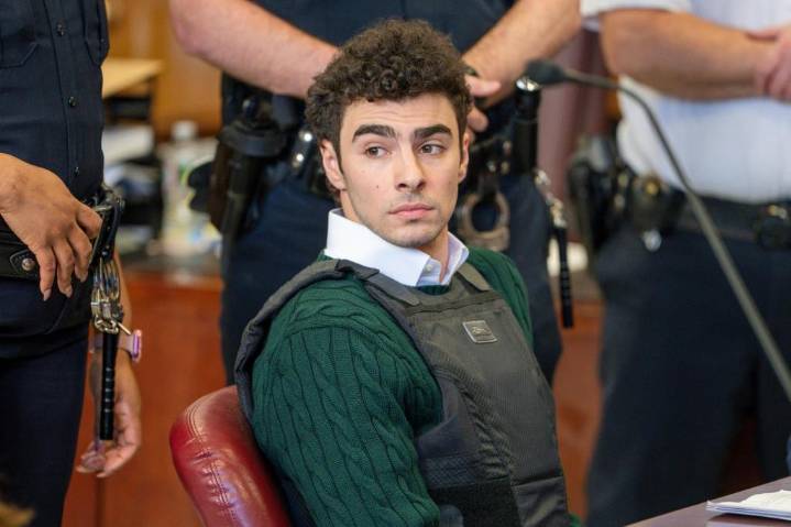 Murder suspect Luigi Mangione spotted as model on Shein website