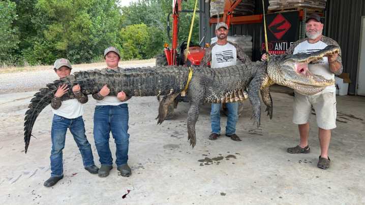 Mississippi hunters bag massive, 14-foot alligator. Was it a record?