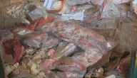 Vencida hace un año: decomisan 15 toneladas de carne desde local clandestino en Recoleta