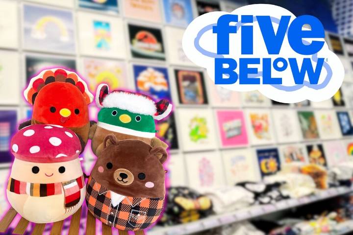 Opening Dates Announced for 8 New Five Below Stores in WA and OR