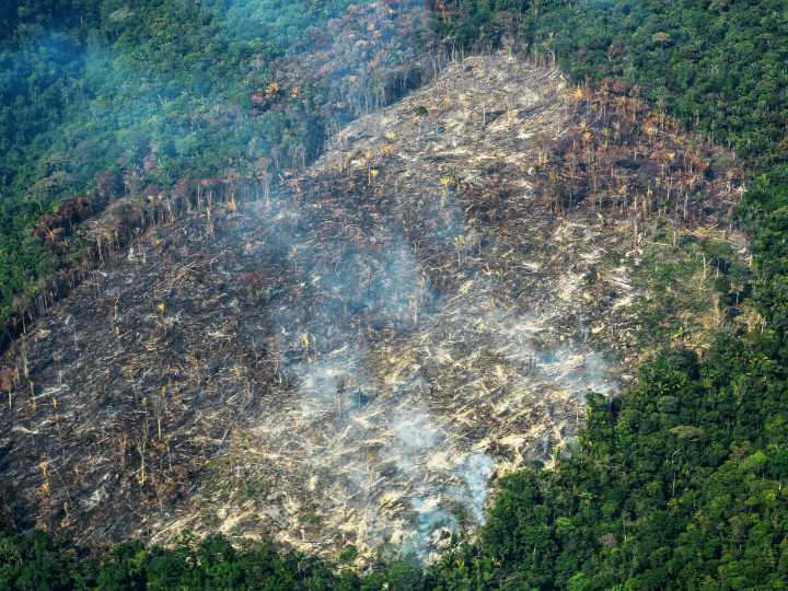Brasil innova en herramienta para medir deforestación en la Amazonía