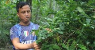 How long can Bangladesh’s indigenous Khasis sustain their forest