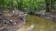 Woman found dead in North Side creek after Labor Day weekend flooding identified