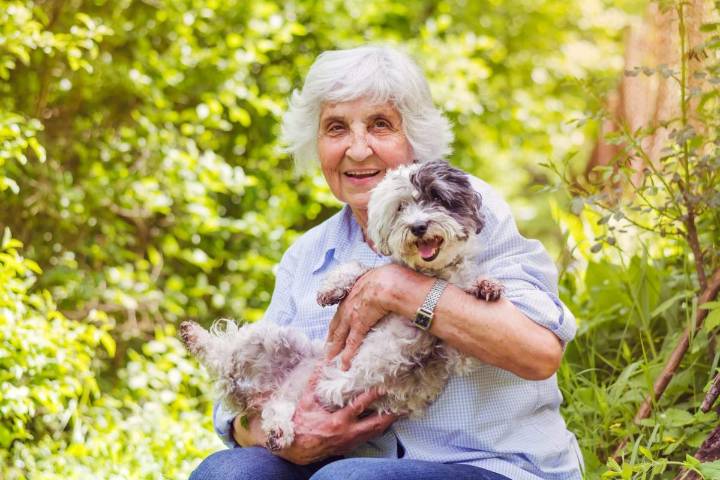 11 Affectionate Dog Breeds Who Want To Be Held Constantly