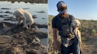 Florida Hiker Finds A Starving Puppy On Trail, Then His Wife Makes A Life