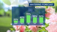 Summer feel in the 90s sticks around before a very wet weekend