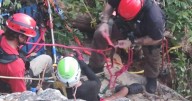 Dunlap firefighters rescue injured paraglider on Lewis Chapel Mountain