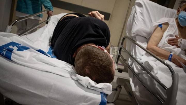 España, a la cabeza de las infecciones por ‘C. auris’, una ‘bacteria de hospital’