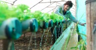 Bancamía ha desembolsado este año microcréditos verdes por más de $23.800 millones para fortalecer la resiliencia
