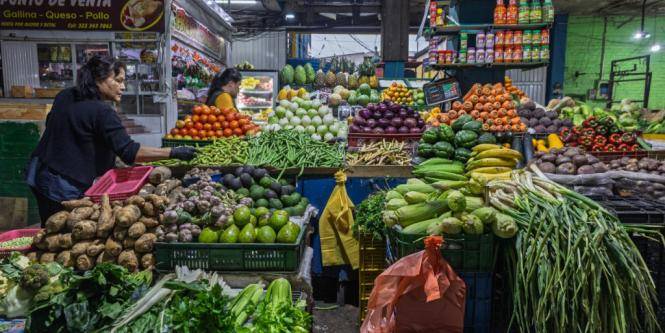Peso de impuestos en costo de vida: por qué se dispararía inflación con la tributaria 