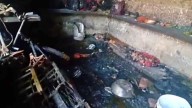 Four Of Same Family Killed In House Fire In Punjab’s Rajpura